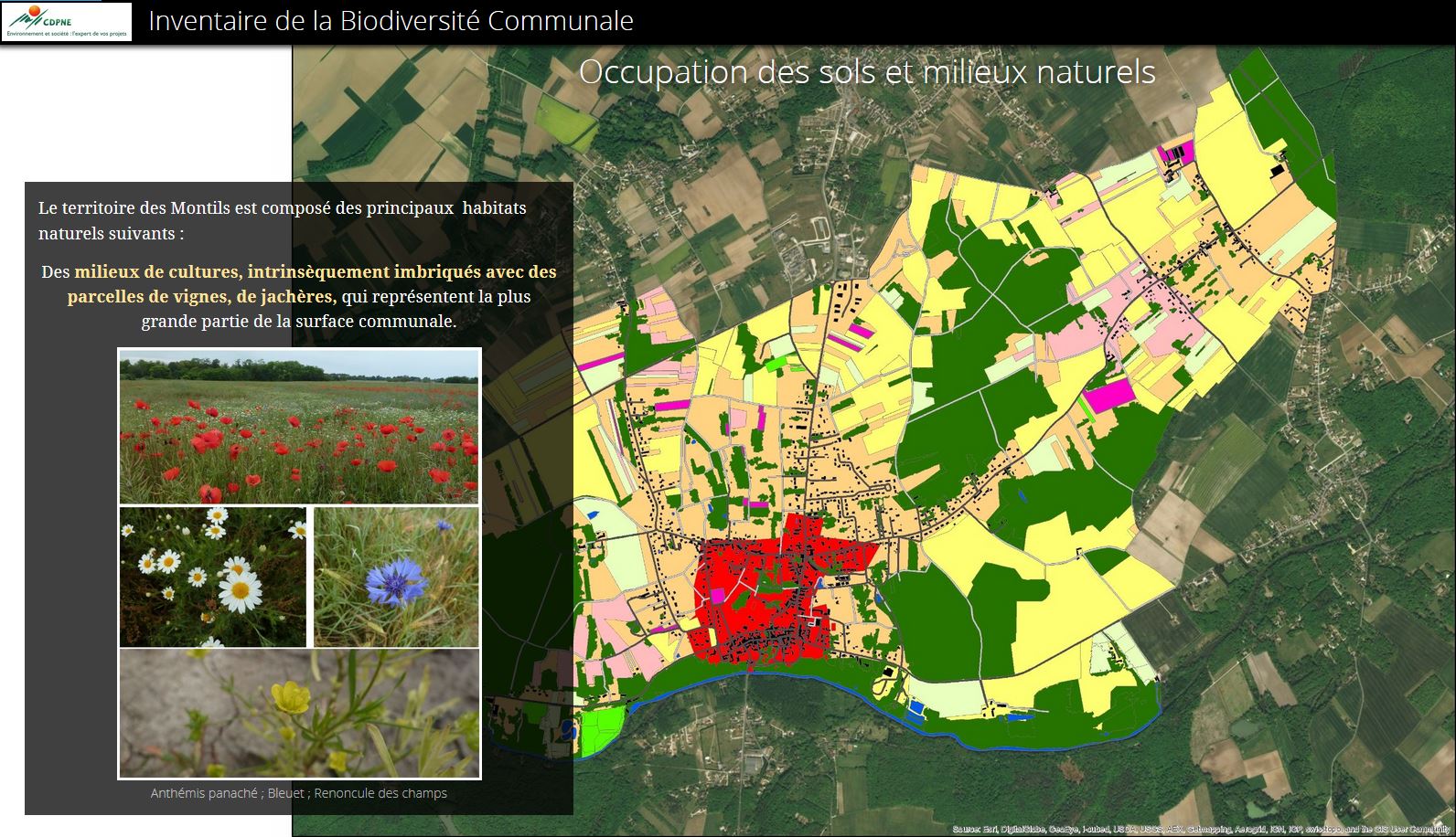 Inventaire de biodiversité communale IBC