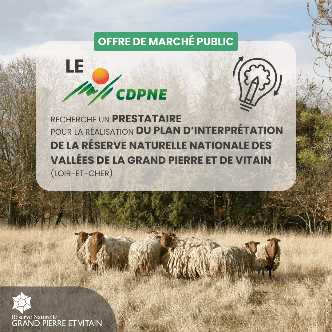 Le Comité Départemental de la Protection de la Nature et de l’Environnement (CDPNE) recherche un prestataire pour la réalisation du Plan d'interprétation de la Réserve Naturelle Nationale des vallées de la Grand Pierre et de Vitain (Loir-et-Cher).