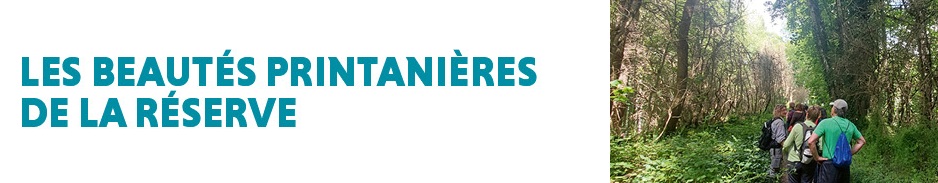 COP Centre Val de Loire